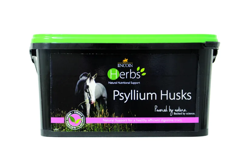Lincoln Herbs Psyllium Husks - 1.5kg